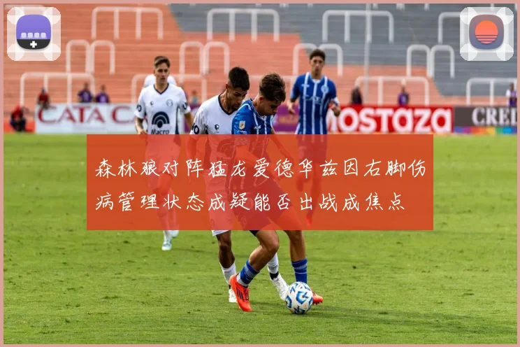 森林狼对阵猛龙爱德华兹因右脚伤病管理状态成疑能否出战成焦点